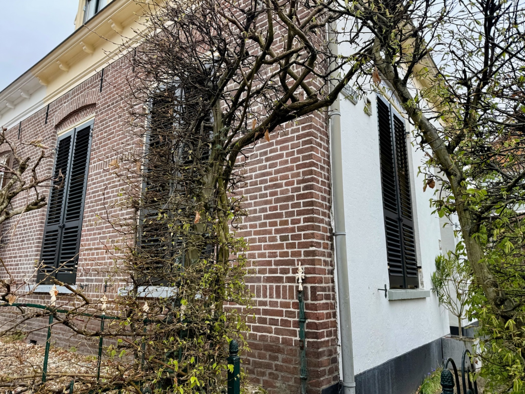 Zwarte louvre luiken op monumentaal pand met sierlijst